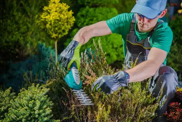 landscaping services Dearborn Heights